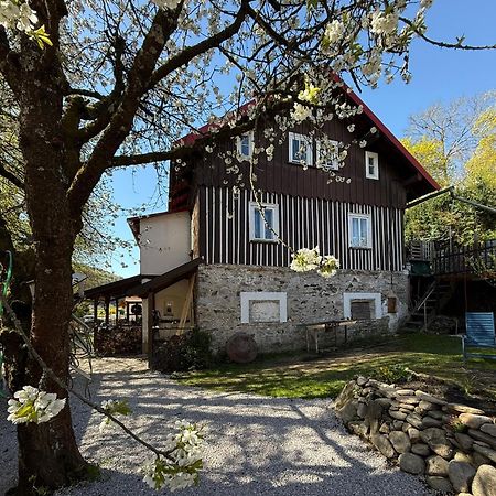 Vila Adélka - útulná chalupa v Krkonoších Horní Maršov Extérieur photo
