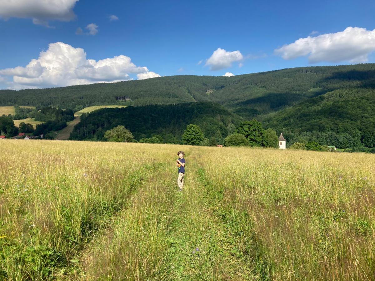 Hotel Vila Adélka - útulná chalupa v Krkonoších à Horní Maršov Extérieur photo